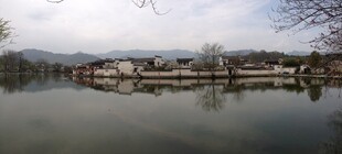 宁静湖水畔的美丽景致