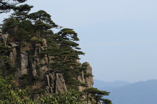 奇峰峻岭间的绿意景致