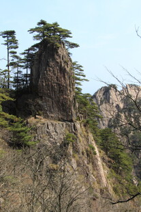 峻峭山峰上的挺拔松树