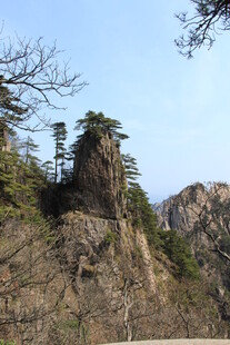 峻峭山峰上的挺拔树木