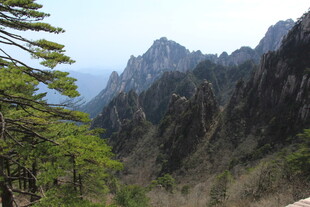 壮丽山景与翠绿树木