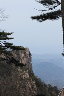 峻峭山峰上的挺拔松树