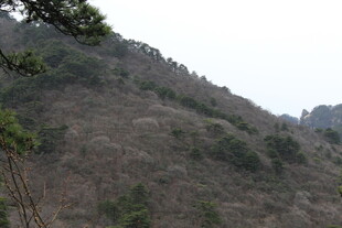 山峦景色 植被稀疏的山坡