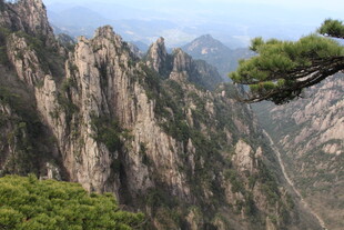 壮丽黄山奇峰与苍松景观