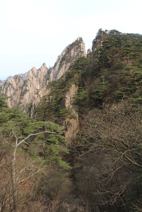巍峨山峰与葱郁植被