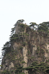 巍峨山峰上的葱郁树木