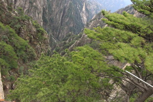 山间葱郁绿意 奇峰相伴