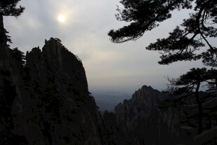 黄山奇峰与松景