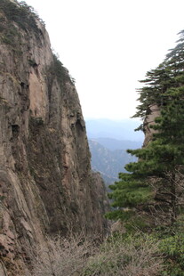 险峻山景与挺拔青松