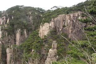 陡峭山壁上的葱郁植被