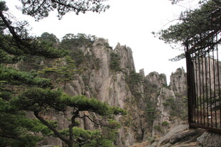 黄山奇峰与苍松景观