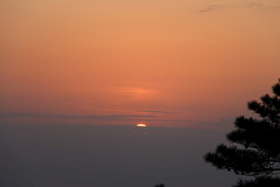 日落时分的树影与霞光