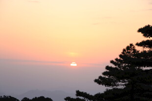 夕阳下的松树与天边落日