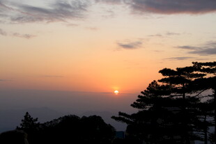 日落时分的树木与天空