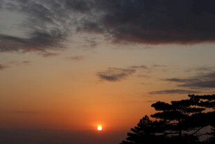 日落时分的天空与树木
