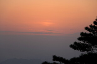 夕阳下的树梢与远方天际