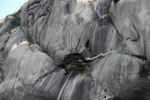 险峻山石间的一抹绿意