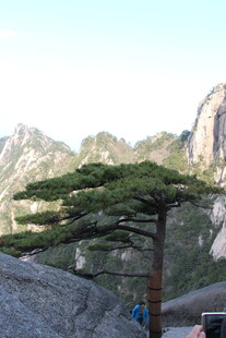 黄山迎客松 壮丽山景