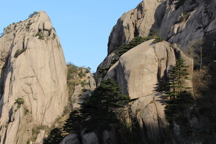巍峨山峰与葱郁树木景观