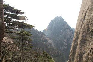 黄山奇峰与苍松景观