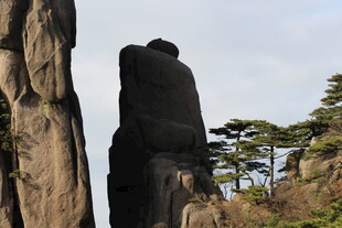 奇峰挺立 山间松景