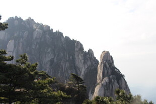 巍峨山峰与山间松树景观