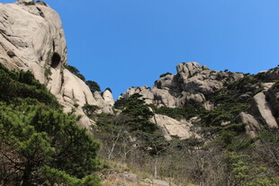 峻峭山石与葱郁植被景观