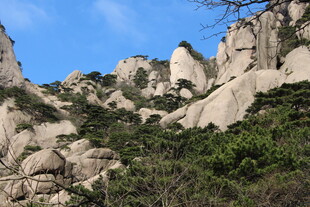 峻峭山石与葱郁植被景观