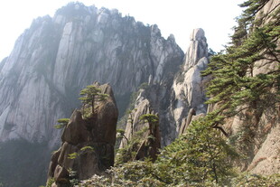 巍峨黄山奇峰 绿意点缀