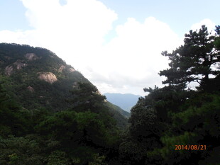 山林景致 绿意盎然的自然