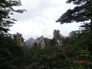 奇峰林立的山林景观