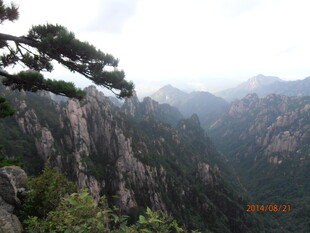 黄山奇峰与苍松景观