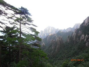 黄山秀丽山林景观