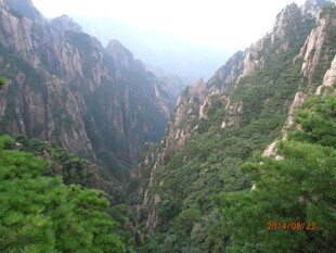 壮丽山峦间的葱郁景致