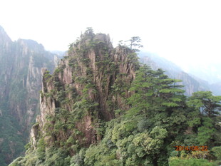 巍峨黄山奇峰 绿意盎然