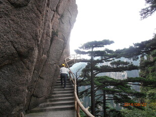 山间石阶步道 景致清幽