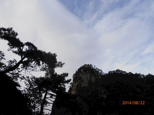 山间松景与蓝天白云