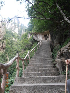 山间石阶 漫步自然之径