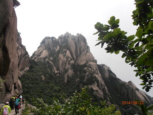 巍峨山峰与繁茂植被景观