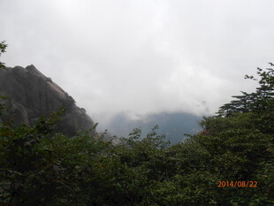 云雾缭绕的山林景致