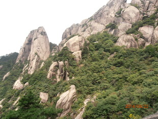 巍峨山峦覆绿植