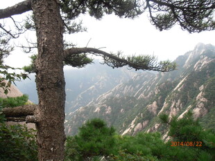 黄山松景 山峦云雾缭绕