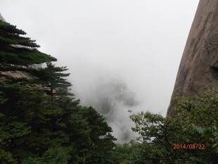 云雾缭绕的山林景致