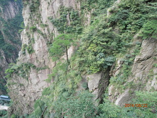 陡峭山崖绿意点缀