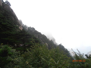 云雾缭绕的葱郁山峰