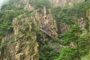 峻峭山峦绿意浓