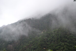 云雾缭绕的翠绿山峦