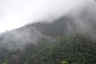 云雾缭绕的翠绿山峦