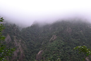 云雾缭绕的青翠山峦