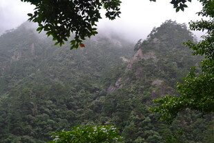 云雾缭绕的翠绿山峦